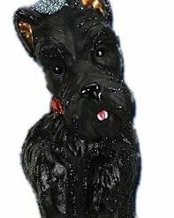Old World Christmas Scottish Terrier Ornament