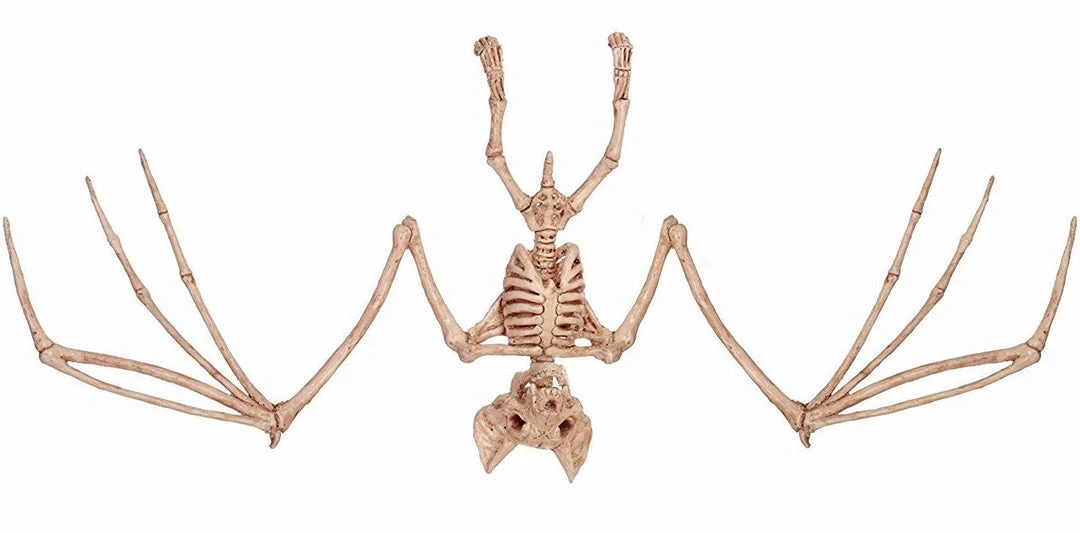 Seasons USA Bat Skeleton Figure 3 Seasons USA Bat Skeleton Figure