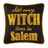 TheHolidayBarn.com New! Salem Witch Pillow 2 TheHolidayBarn.com New! Salem Witch Pillow