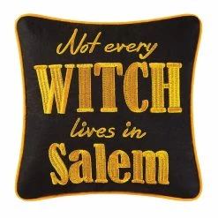 TheHolidayBarn.com New! Salem Witch Pillow