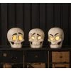 Bethany Lowe Skully Head Luminaries