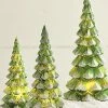 Raz Snowy Green Mercury Glass Trees With Lights