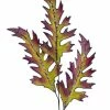 New! Katherine's Collection Witches' Triple Fern Spray, Set Of 6