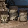 Bethany Lowe Witch’s Conservatory Tin Canisters New!